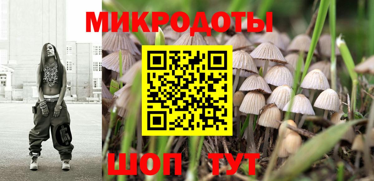 Псилоцибиновые грибы MAGIC MUSHROOMS  Вход с VPN  Гудермес  Псилоцибиновые грибы ЛСД 