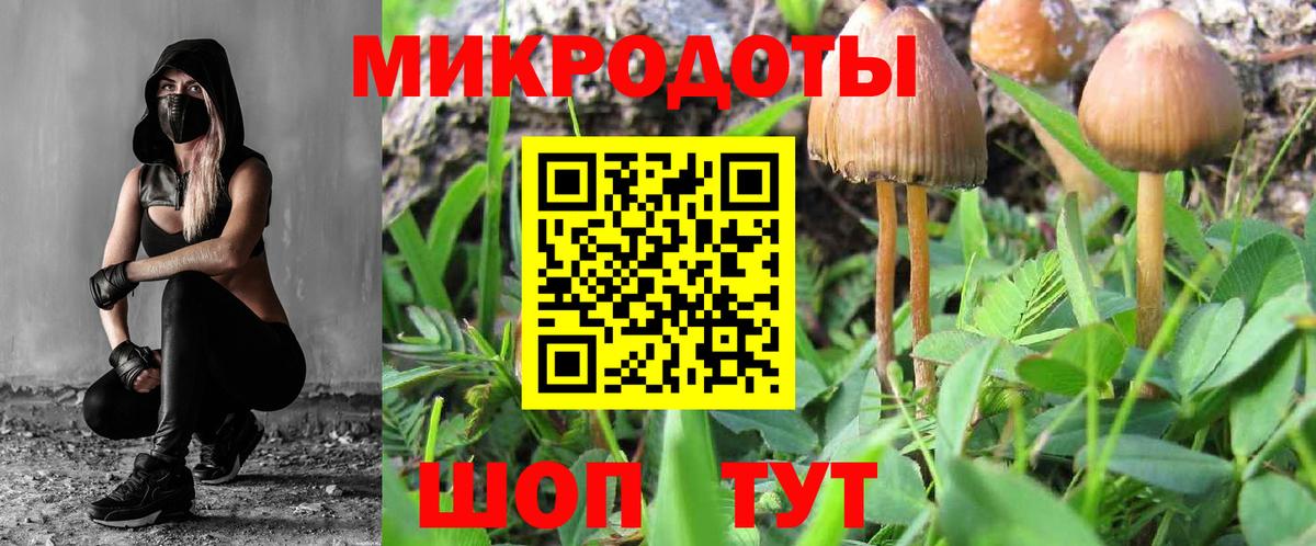 Галлюциногенные грибы ЛСД Гудермес